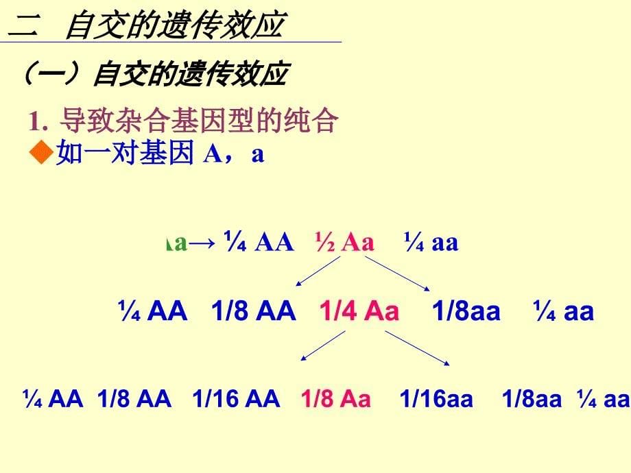 普通遗传学：第九章 近亲繁殖和杂种优势_第5页