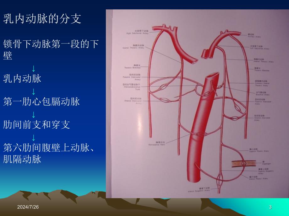 如何获取乳内动脉课件_第3页