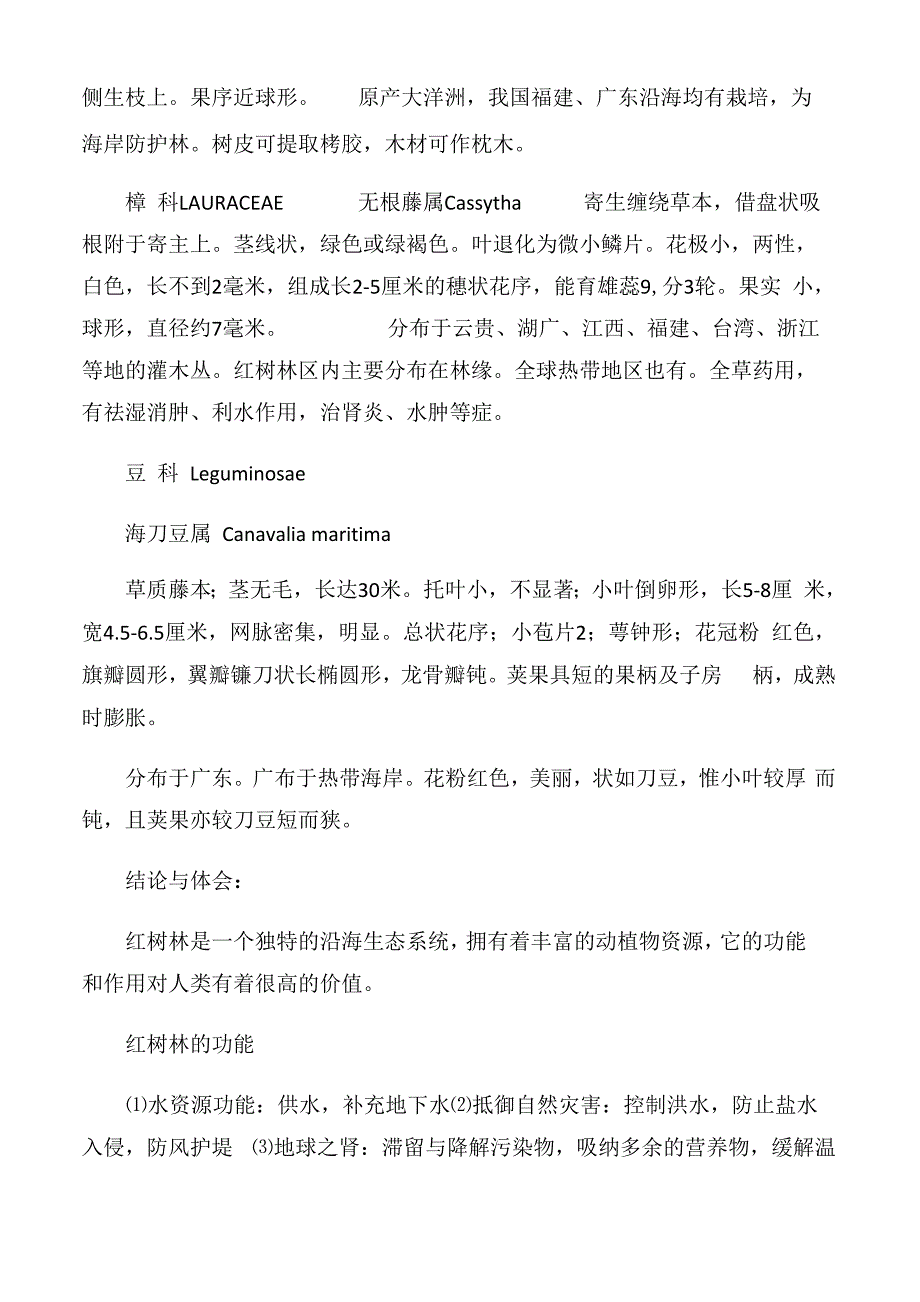 深圳大鹏半岛七娘山红树林植被实地考察报告_第3页