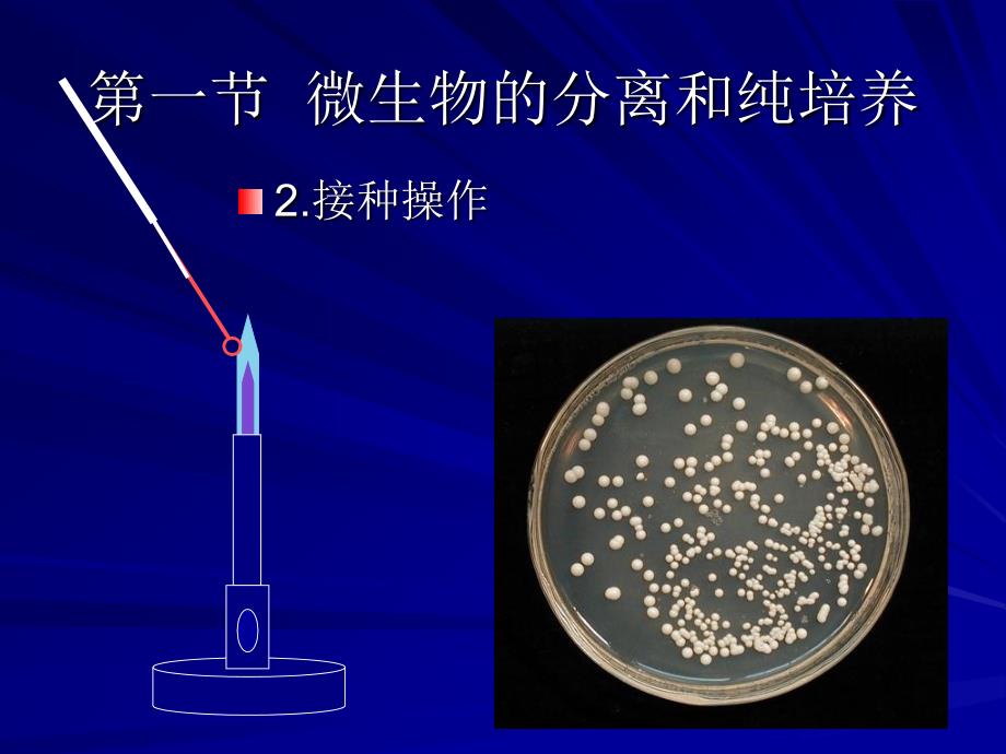 北工大微生物学第2章_第4页