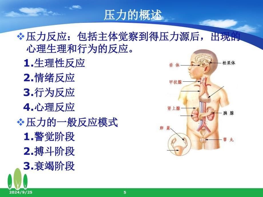 大连医科大学在中山学院2012年暑期教职工培训_第5页