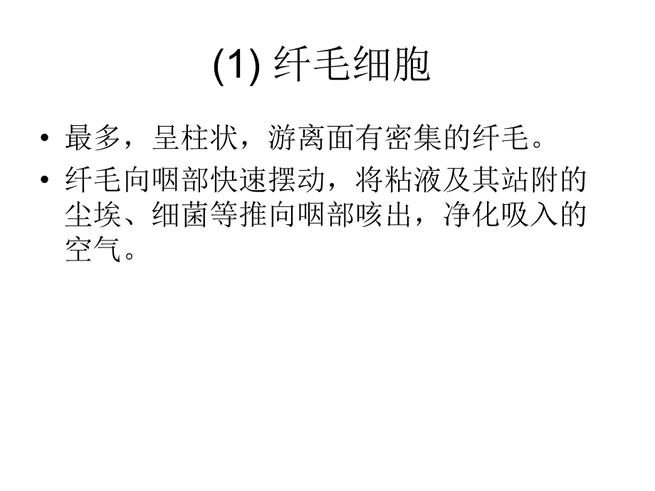 气管支气管肺组织学资料_第2页