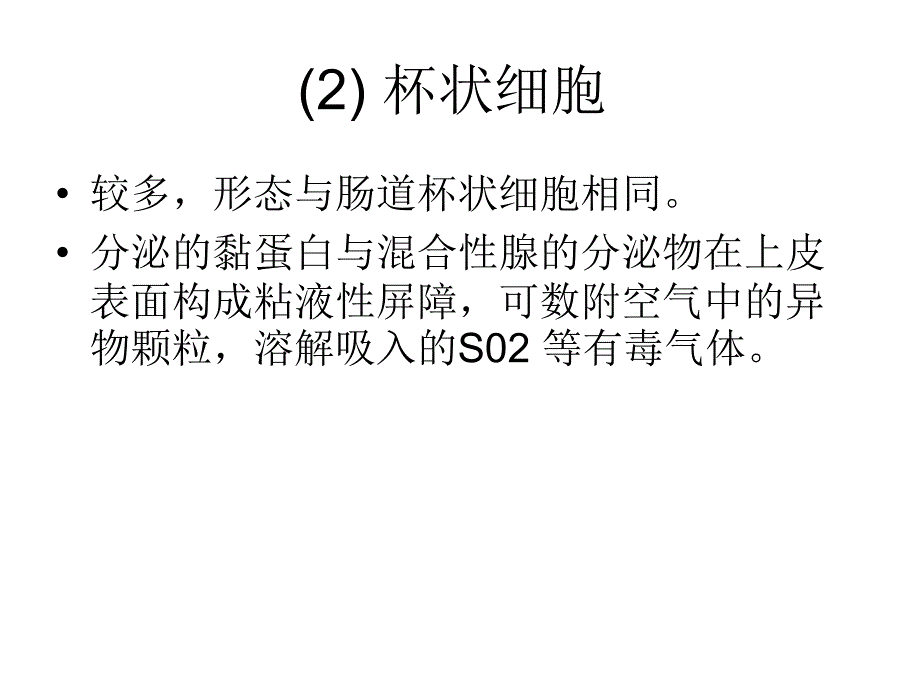 气管支气管肺组织学资料_第3页