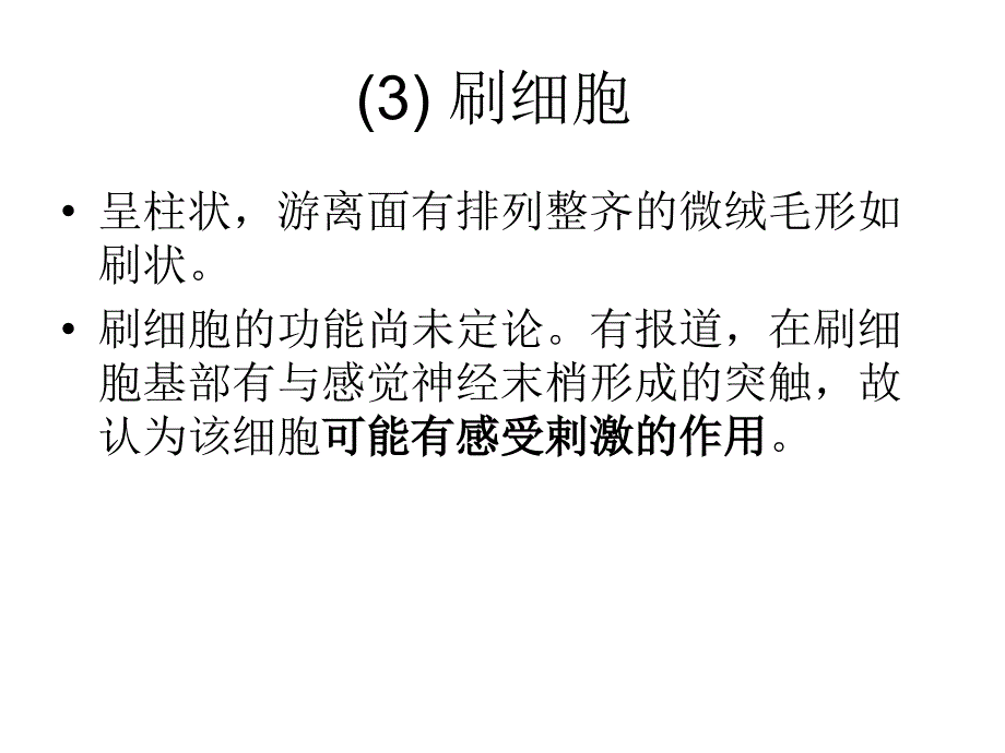 气管支气管肺组织学资料_第4页