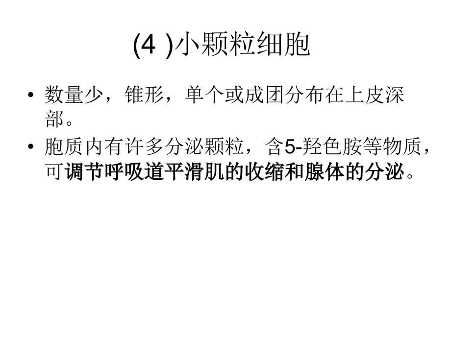 气管支气管肺组织学资料_第5页