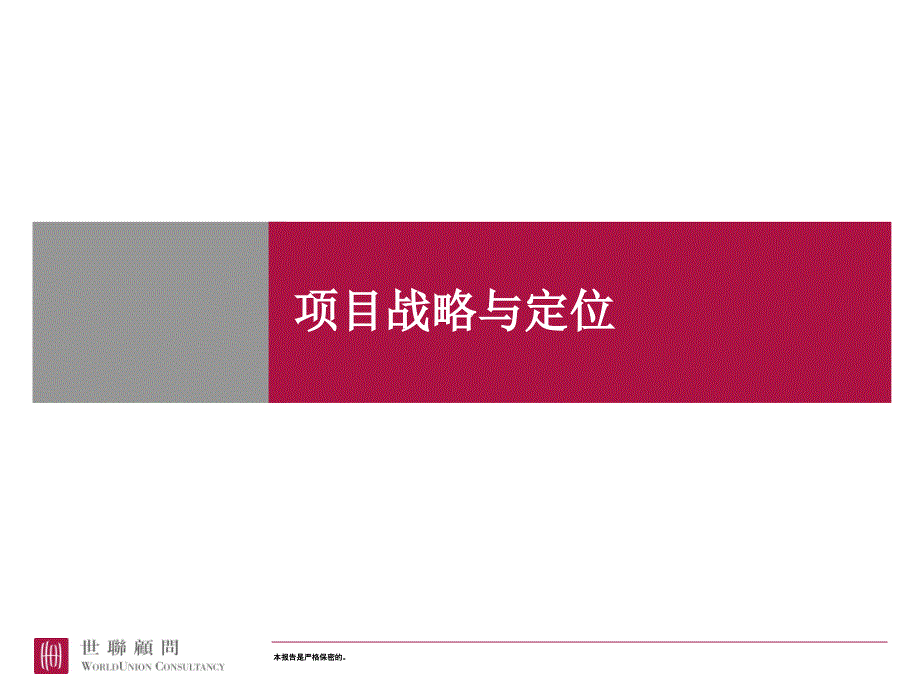 世联项目前期定位报告模板_第1页