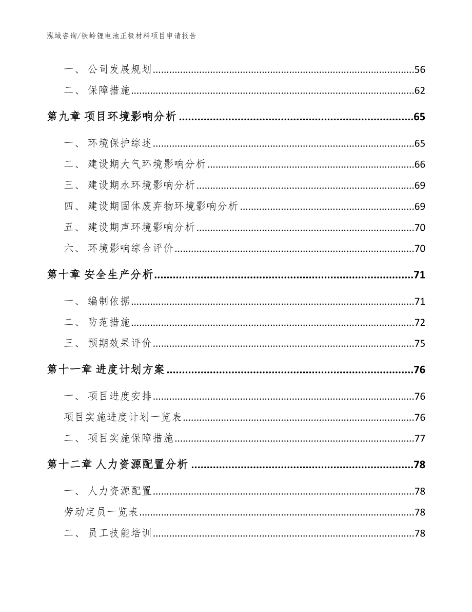 铁岭锂电池正极材料项目申请报告（模板）_第3页