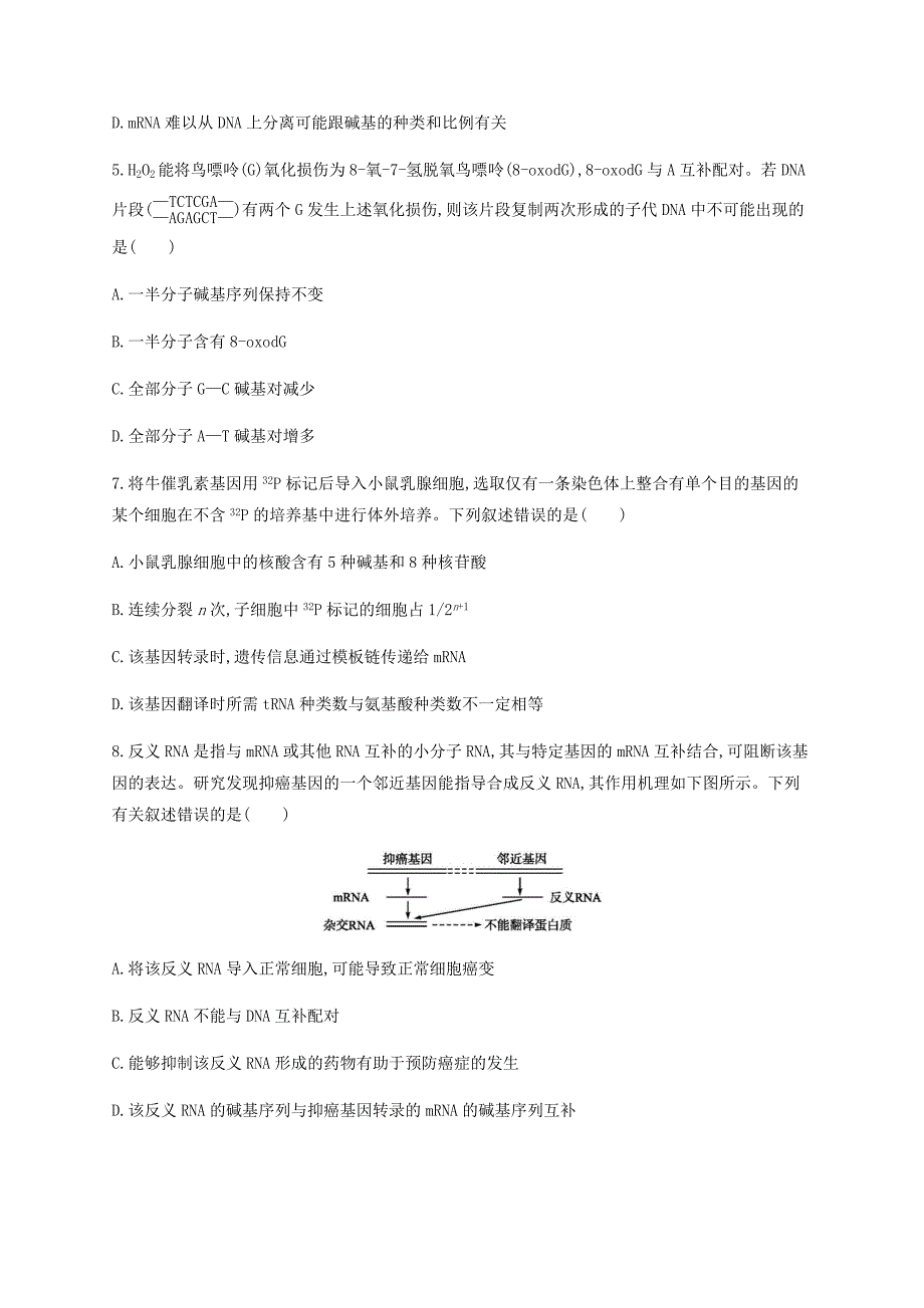 2019年高考生物二轮复习专题能力训练7遗传的分子基础_第3页