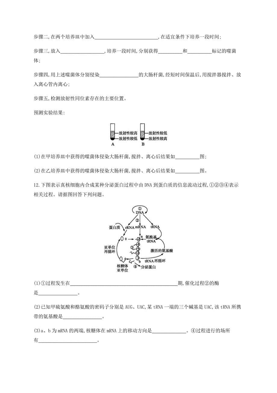 2019年高考生物二轮复习专题能力训练7遗传的分子基础_第5页