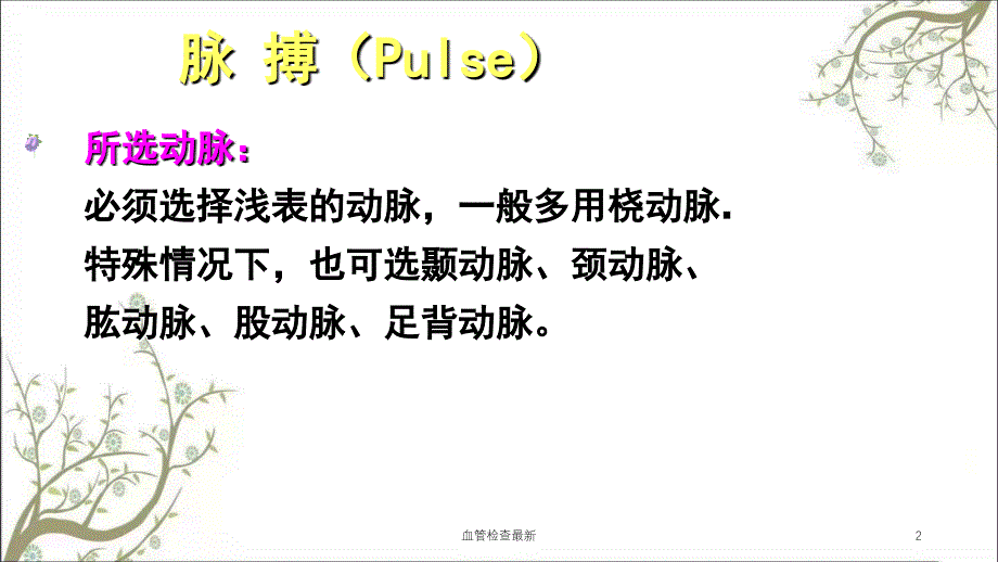 血管检查最新课件_第2页