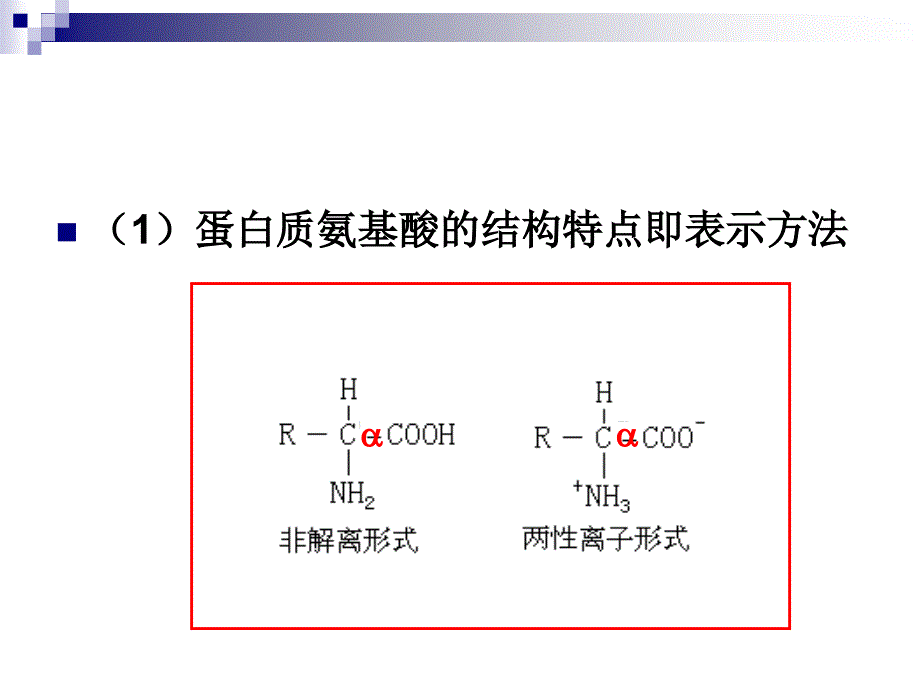 食品生物化学2.3蛋白质化学ppt课件_第4页