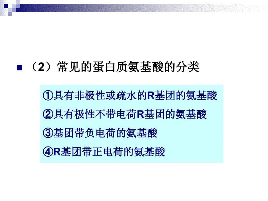 食品生物化学2.3蛋白质化学ppt课件_第5页