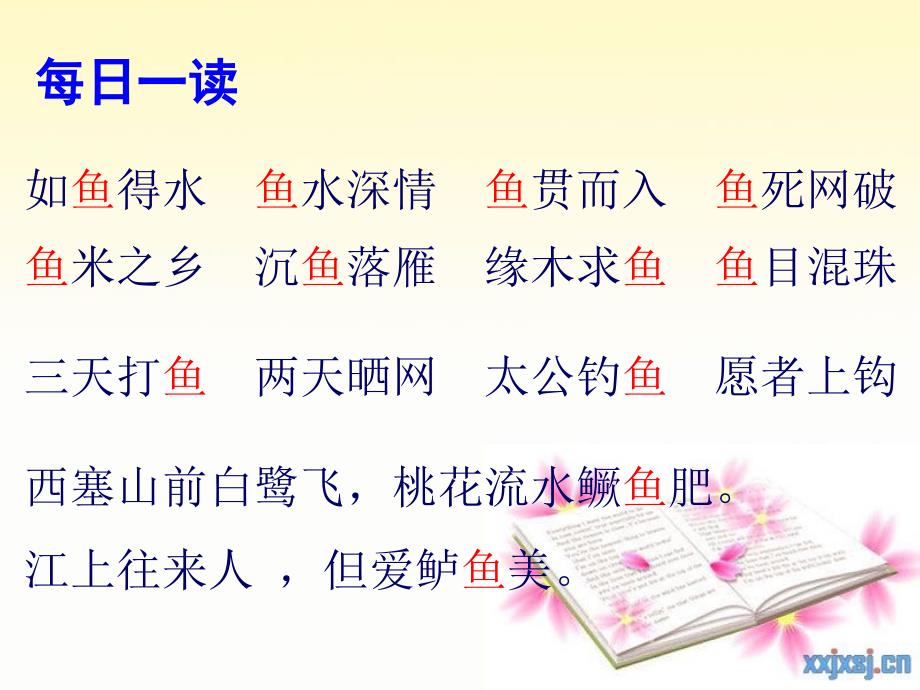 热带鱼教学课件_第1页