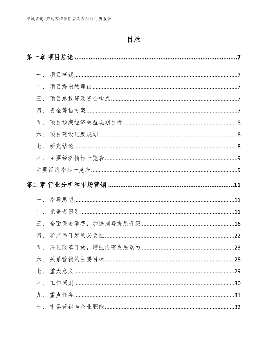 安达市培育新型消费项目可研报告_第2页