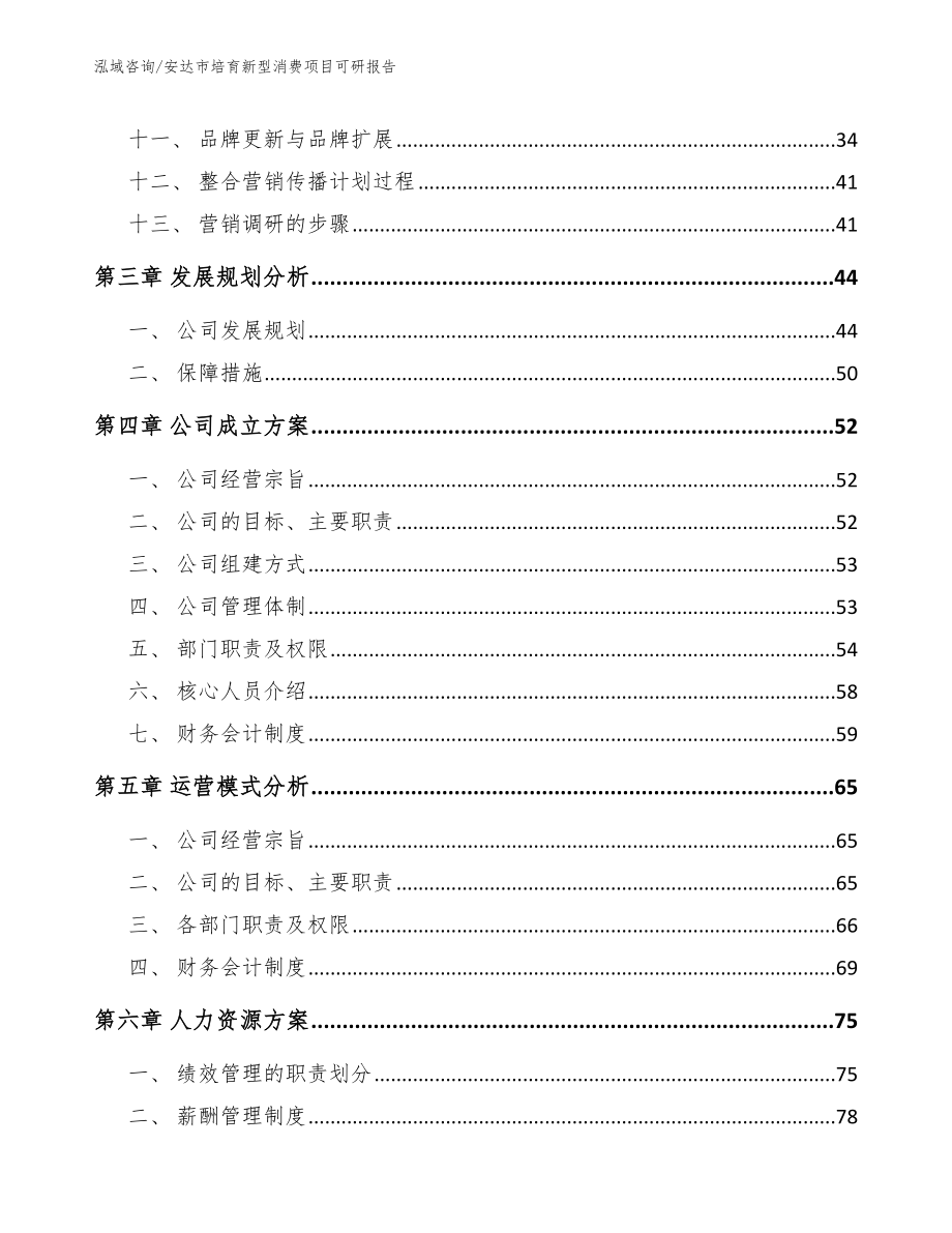 安达市培育新型消费项目可研报告_第3页