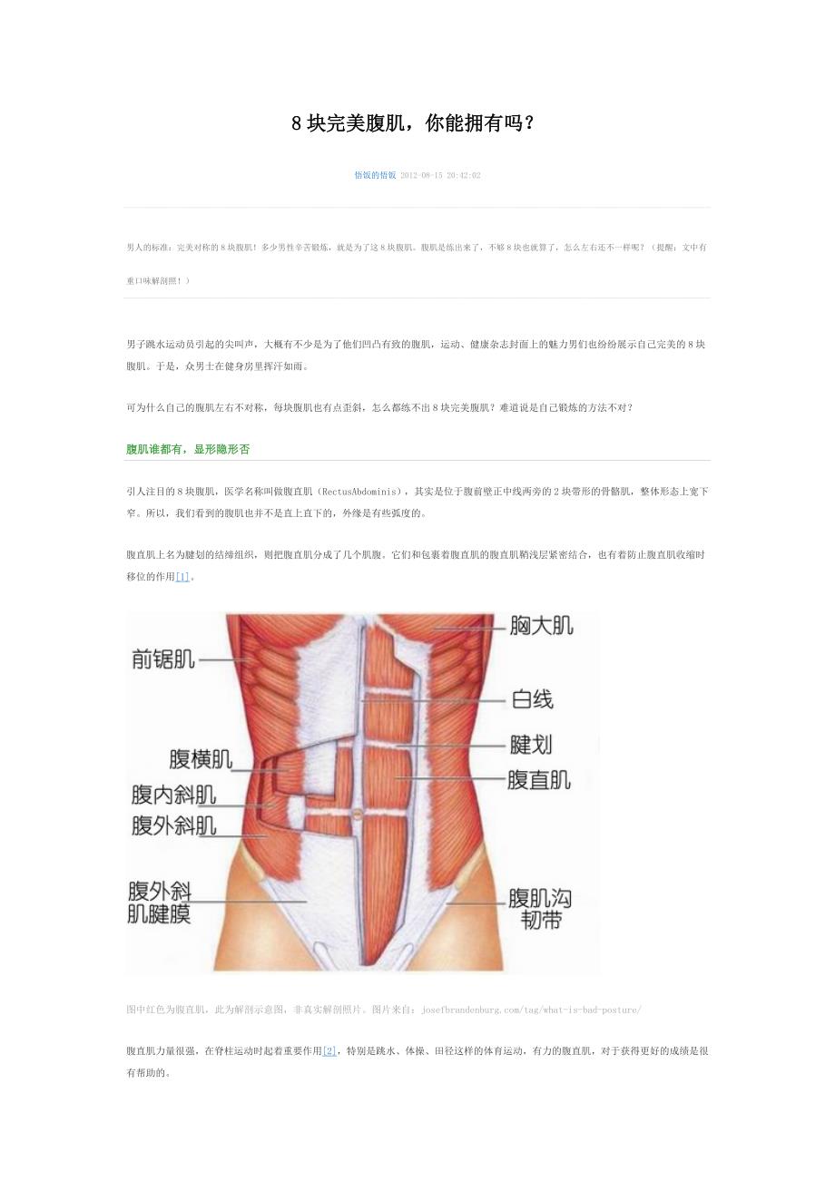 8块完美腹肌,你能拥有吗_第1页