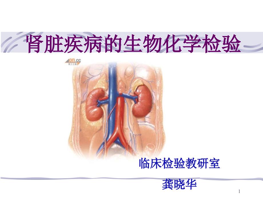 肾脏疾病的生物化学检验ppt课件_第1页