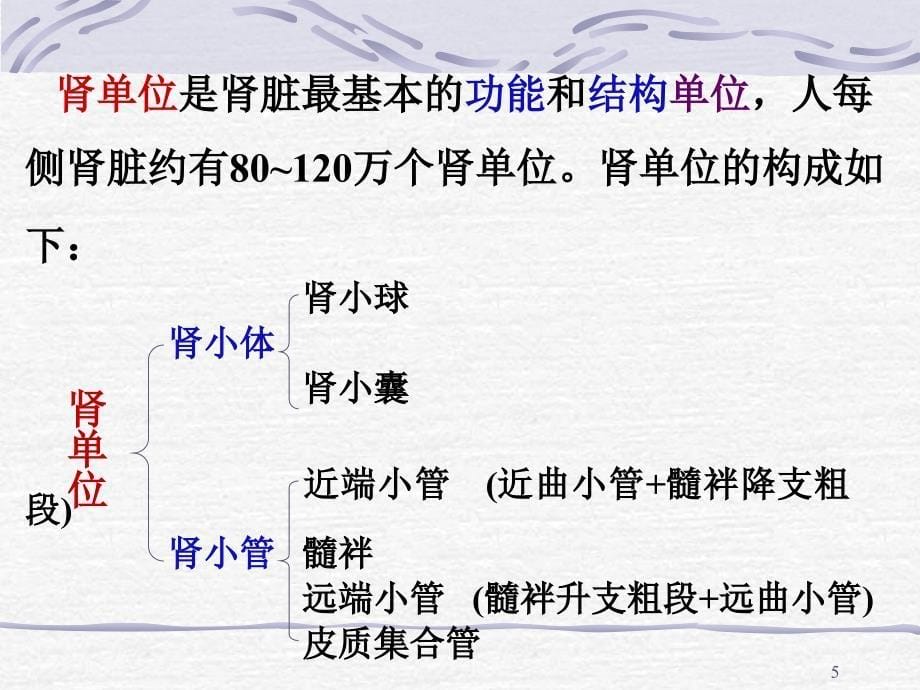 肾脏疾病的生物化学检验ppt课件_第5页