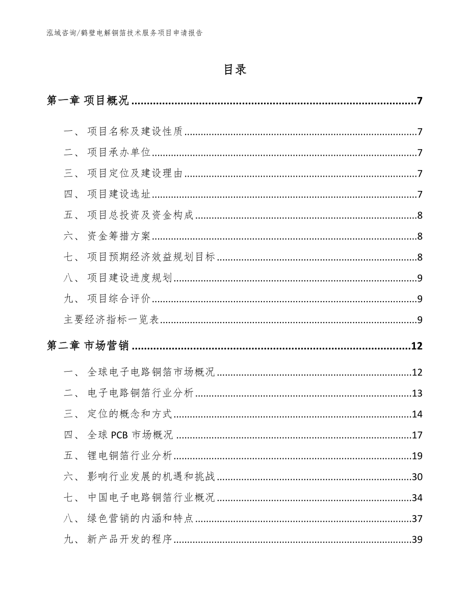 鹤壁电解铜箔技术服务项目申请报告（范文参考）_第2页