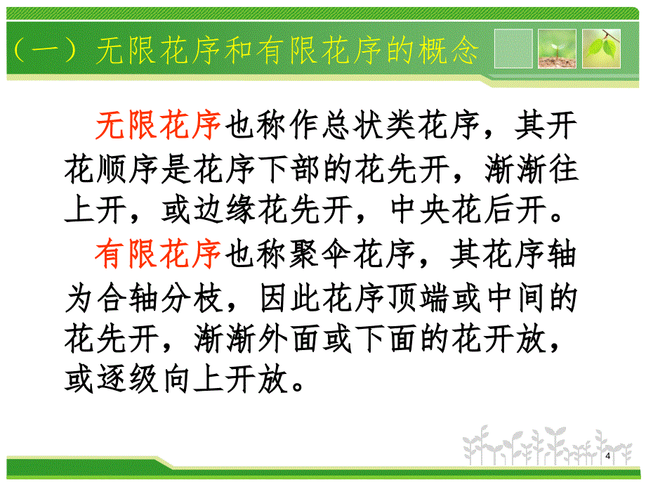 植物生殖器官花果实PPT演示课件_第4页