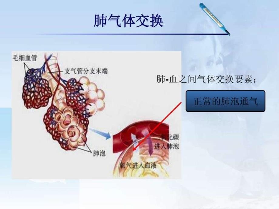 肺灌注与气体交换2.ppt_第4页