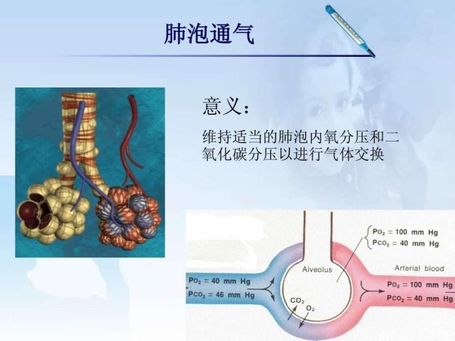 肺灌注与气体交换2.ppt_第5页