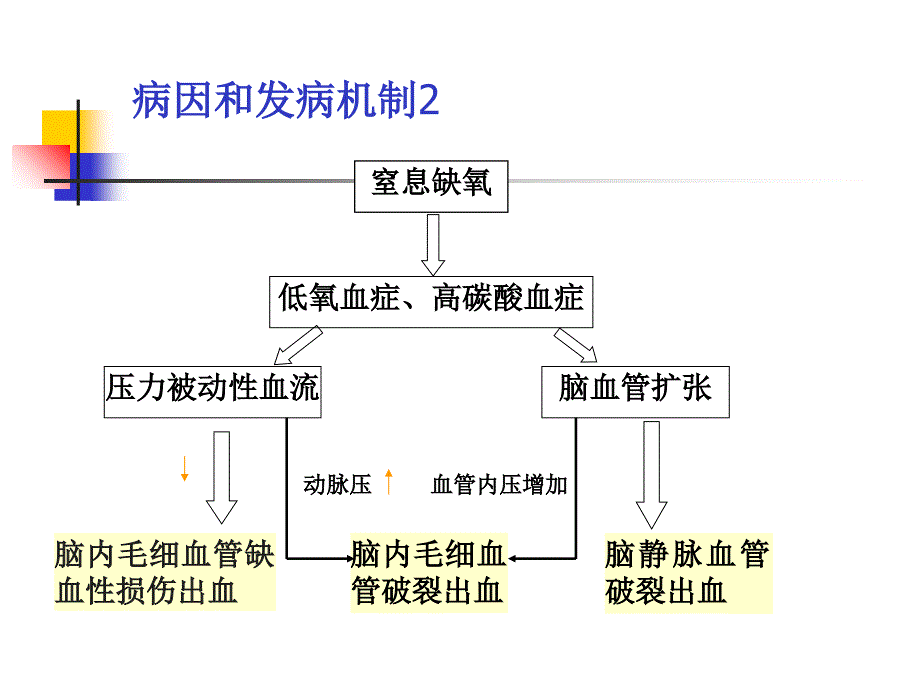 教学查房颅内出血_第4页