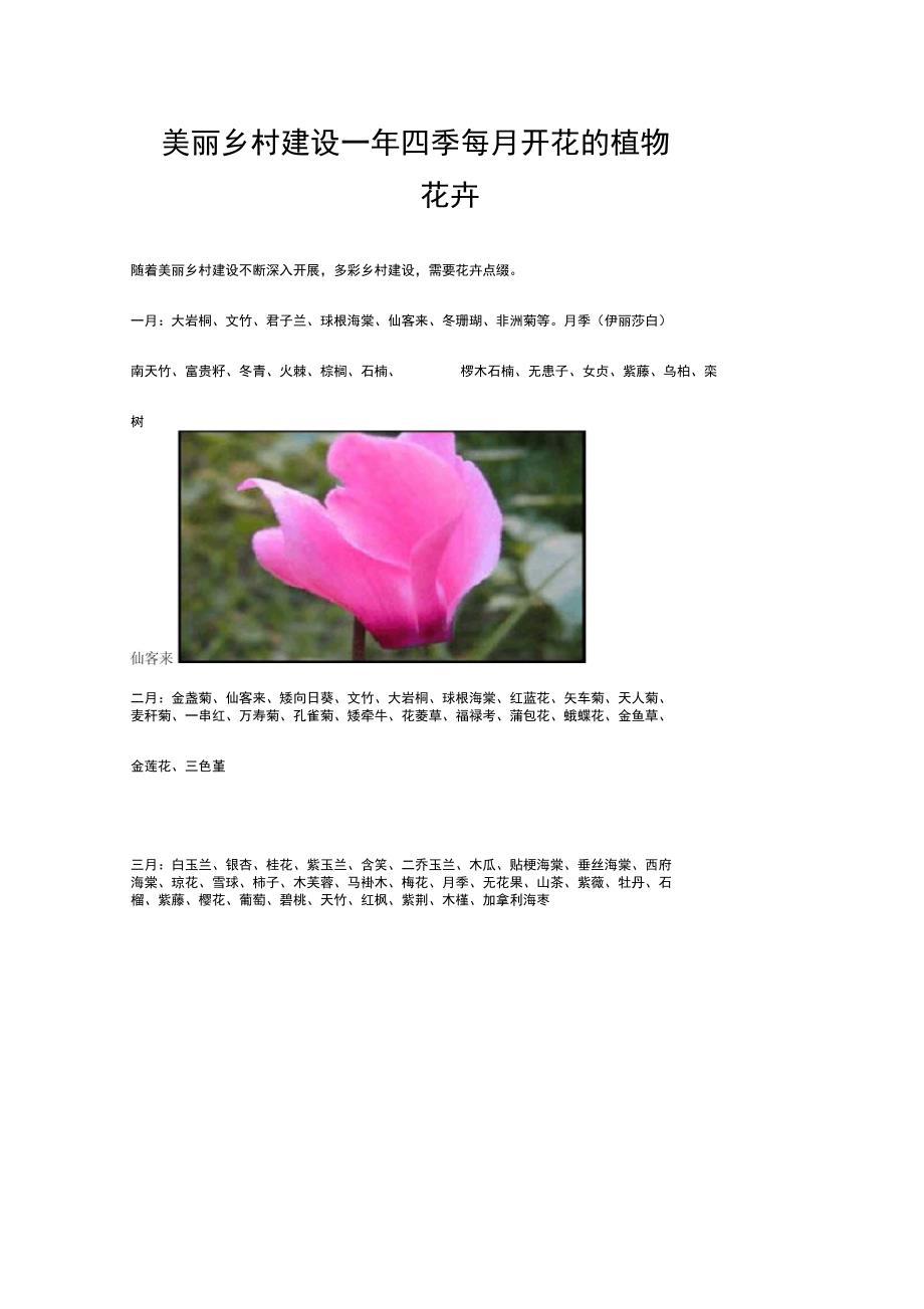 美丽乡村建设庭院美化常用四季开花的植物花卉_第1页