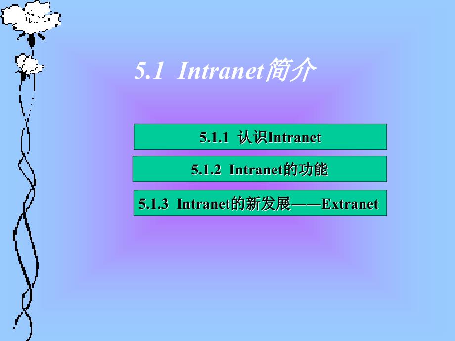 计算机网络课件第5章_第3页