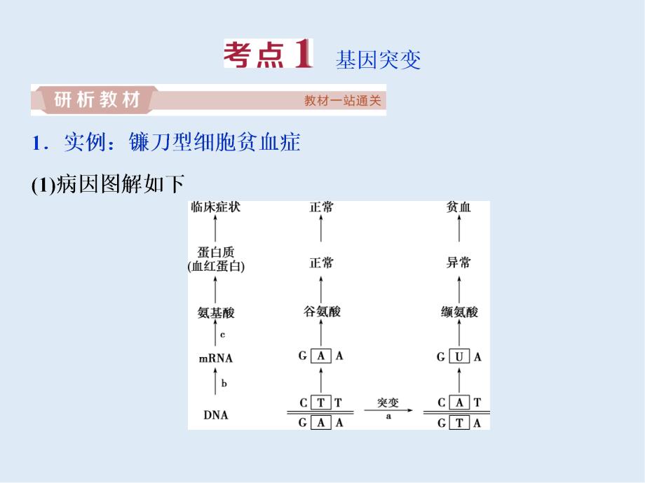 高中生物一轮复习方案课件：第7单元 1 第22讲基因突变和基因重组_第4页