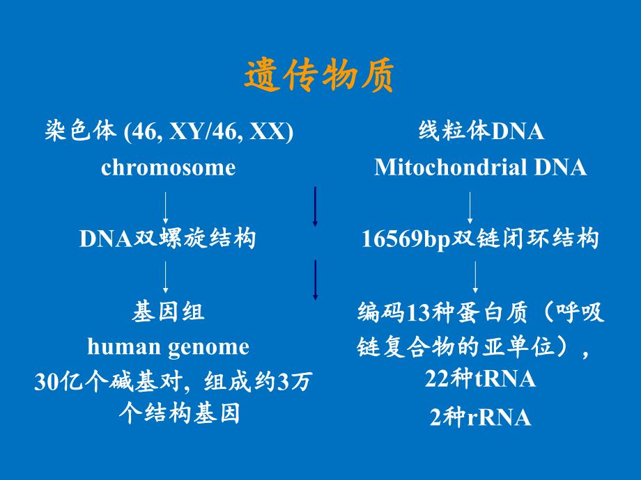 遗传性疾病GeneticDisea诊治_第4页