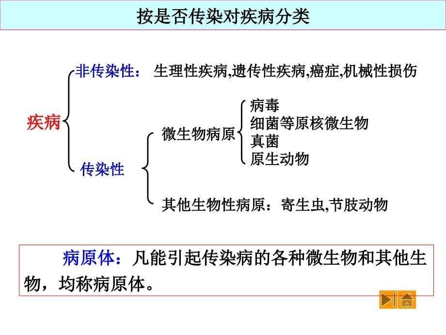 第一节免疫参考1_第5页