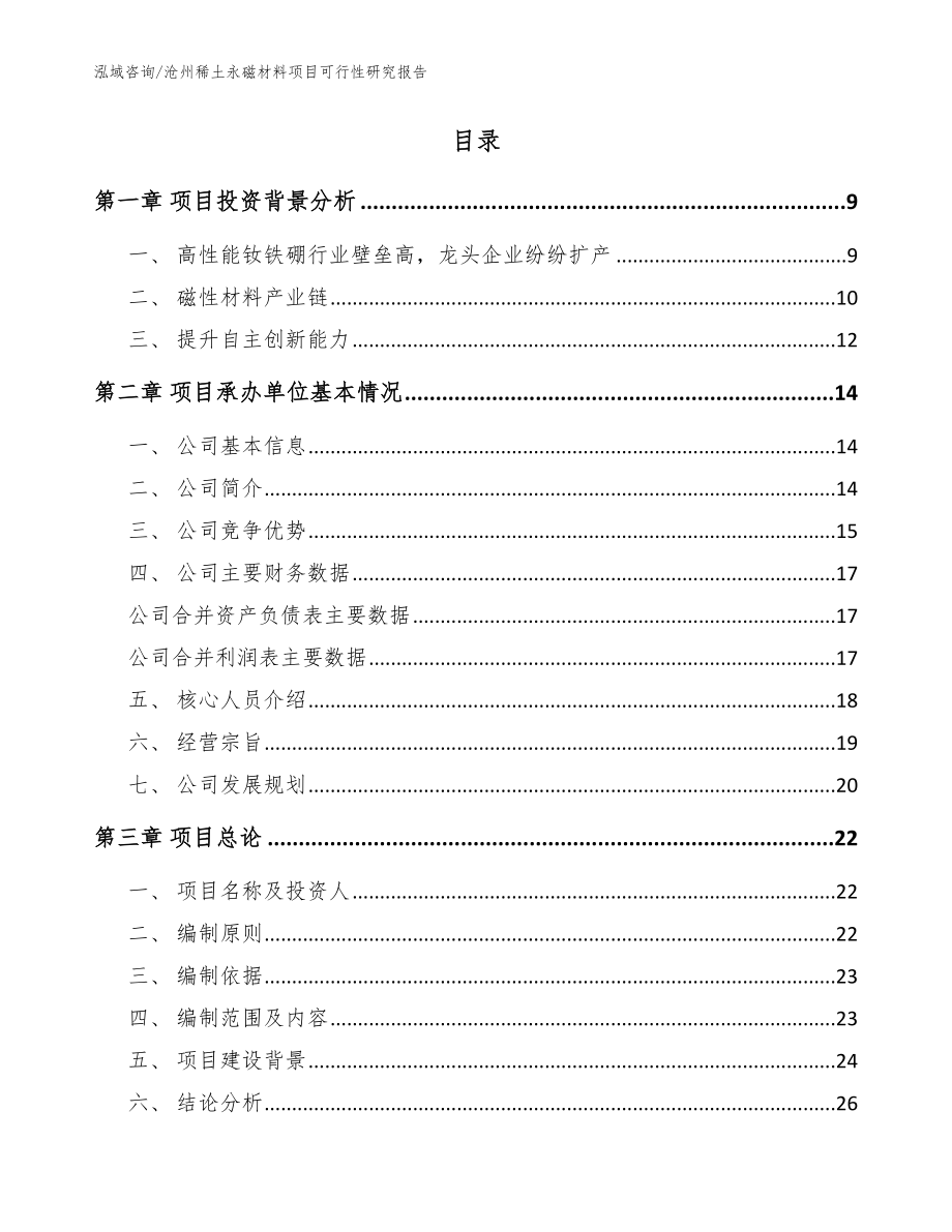 沧州稀土永磁材料项目可行性研究报告（范文模板）_第2页