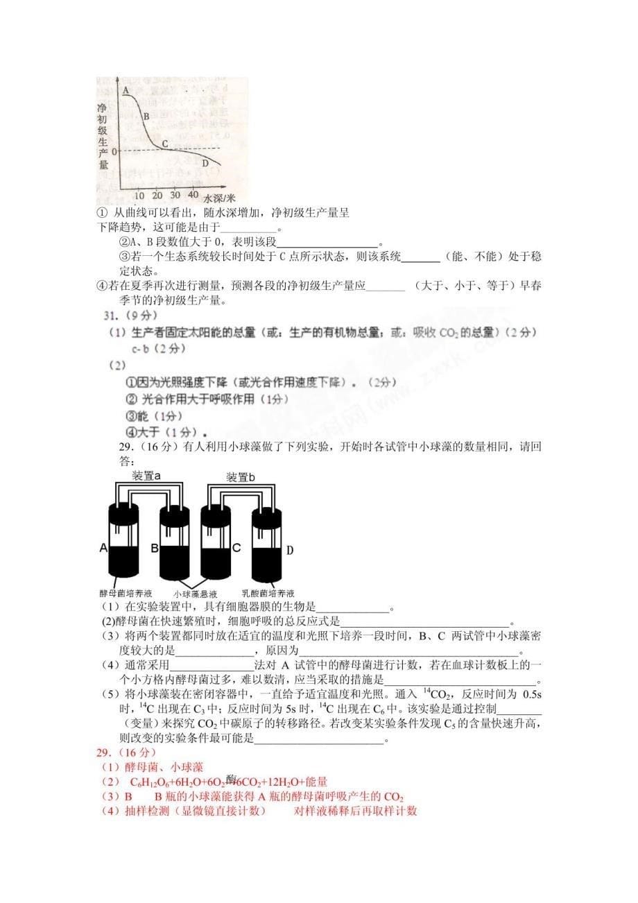 高三生物复习2_第5页