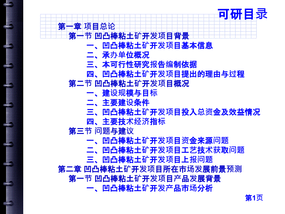 凹凸棒粘土矿开发项目可行性研究报告3_第3页