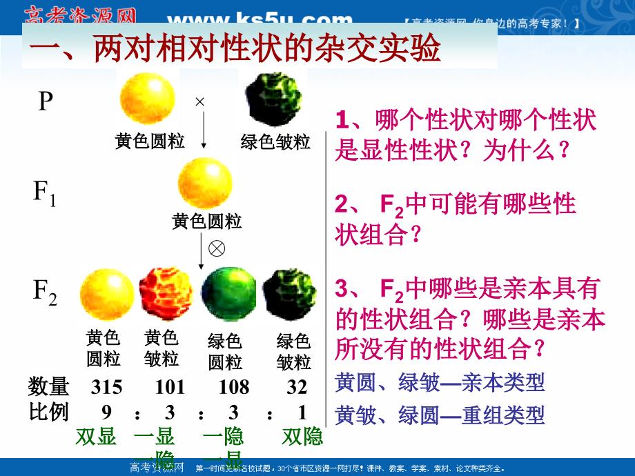 山东省巨野县第一中学高中生物必修二课件：12_孟德尔的豌豆杂交实验（二）_（共14张PPT_第3页