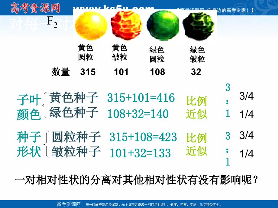 山东省巨野县第一中学高中生物必修二课件：12_孟德尔的豌豆杂交实验（二）_（共14张PPT_第4页