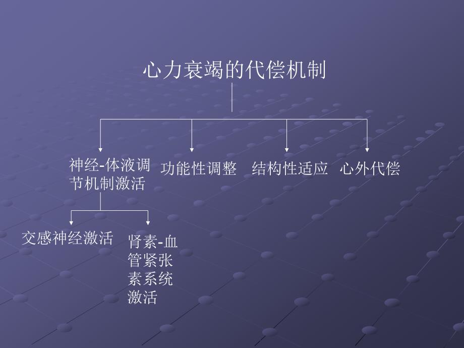 交感神经系统激活在心力衰竭中的代偿与失代偿机制_第4页