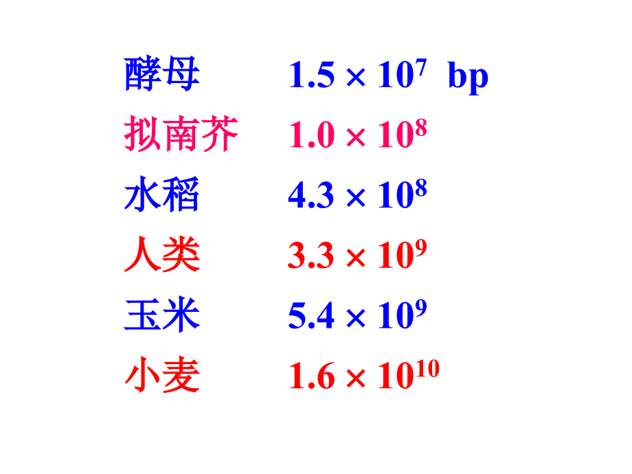 遗传学幻灯13_第4页