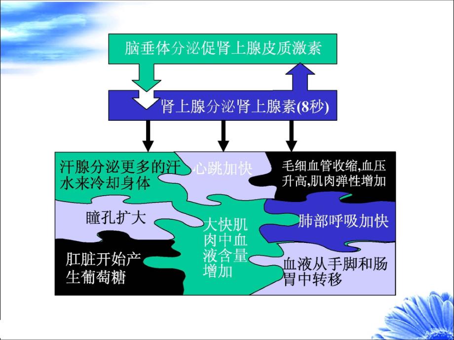 万科压力情绪管理培训_第3页