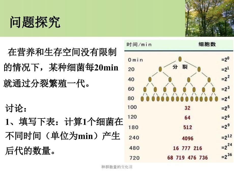 种群数量的变化课课件_第5页