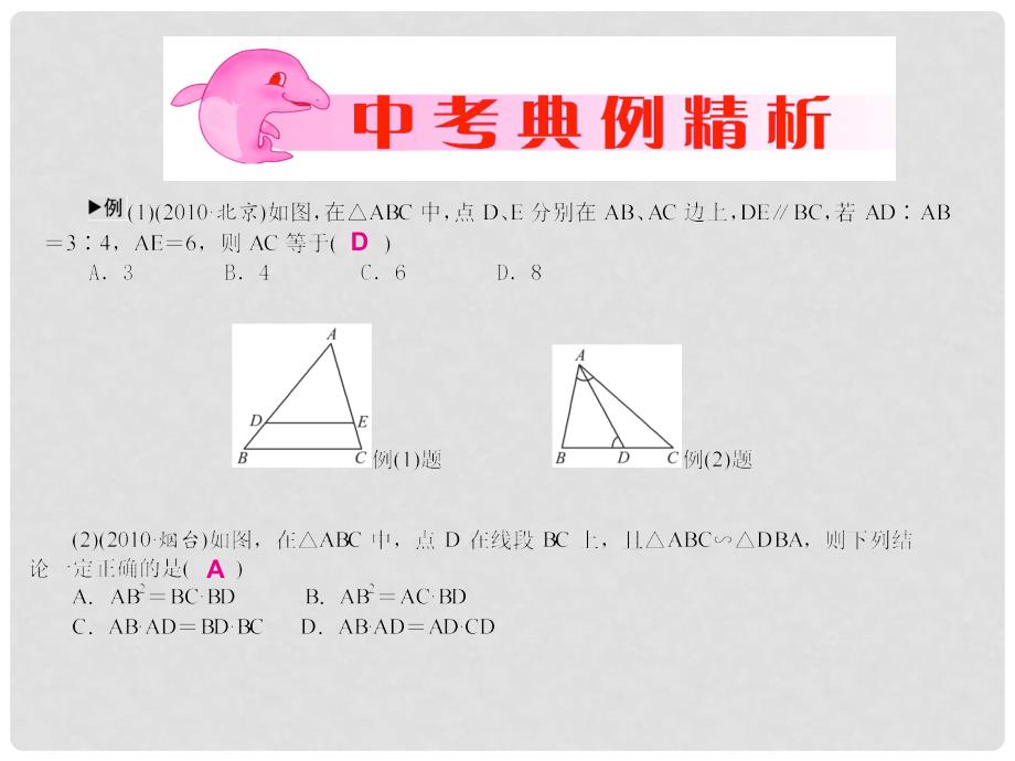 河北省石家庄市高邑县龙凤中学八年级数学下册《第28讲 相似三角形》课件 冀教版_第3页