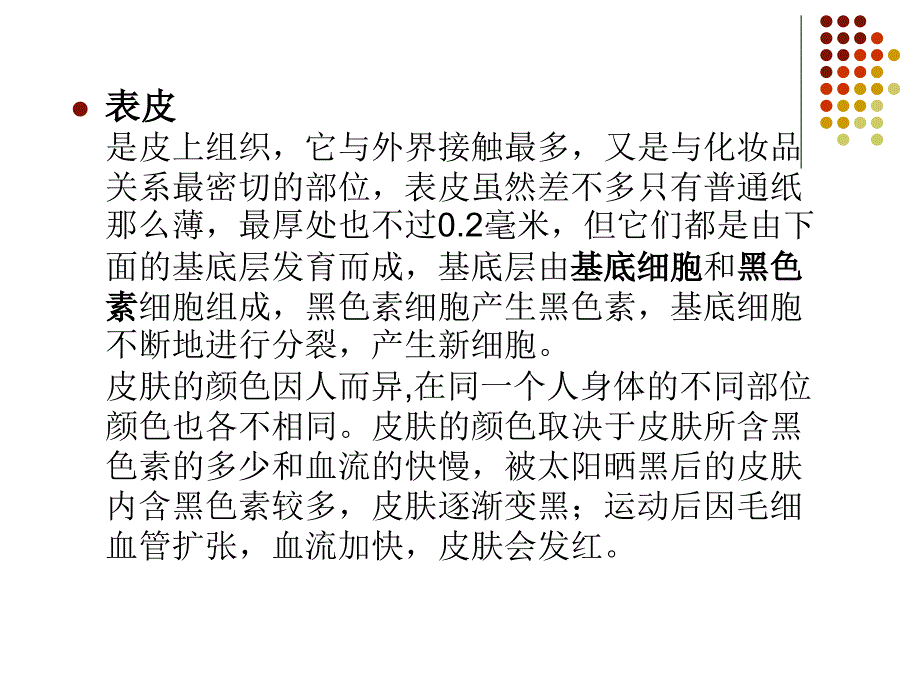 皮肤结构基础知识课件_第3页