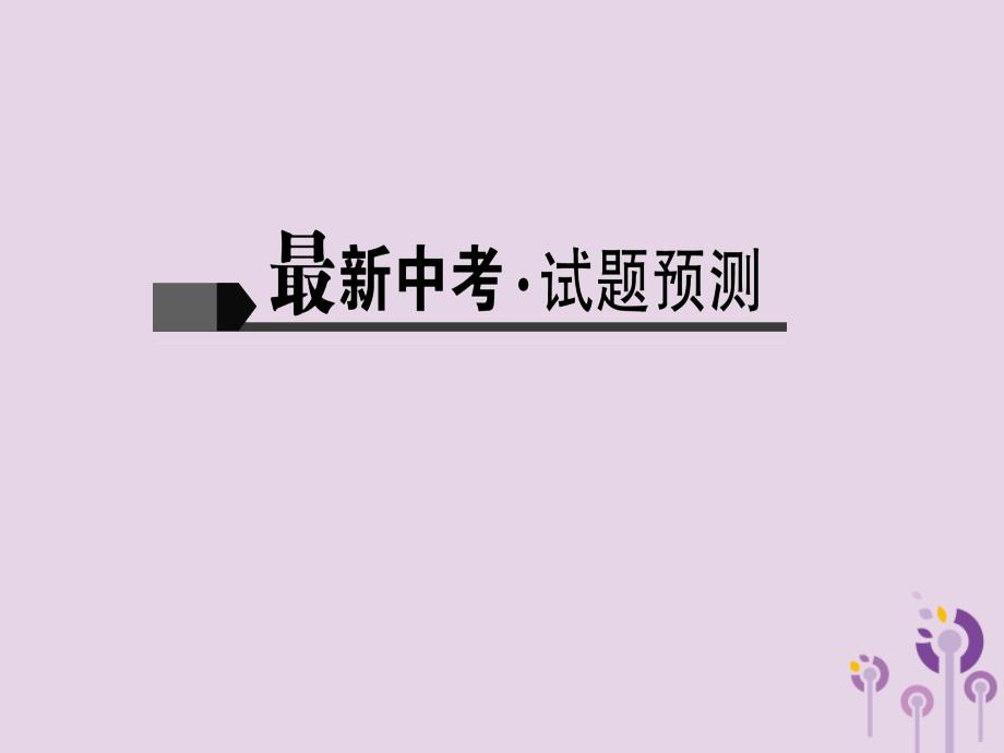 2018届中考语文名师复习第二十讲非连续性文本阅读二课件201902201147_第2页