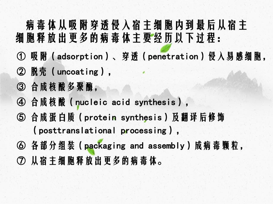 第40章抗病毒药_第4页