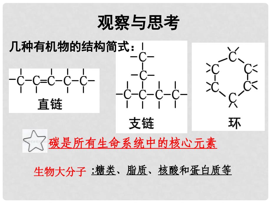 高中生物 1.3《有机化合物》课件 浙教版必修1_第2页