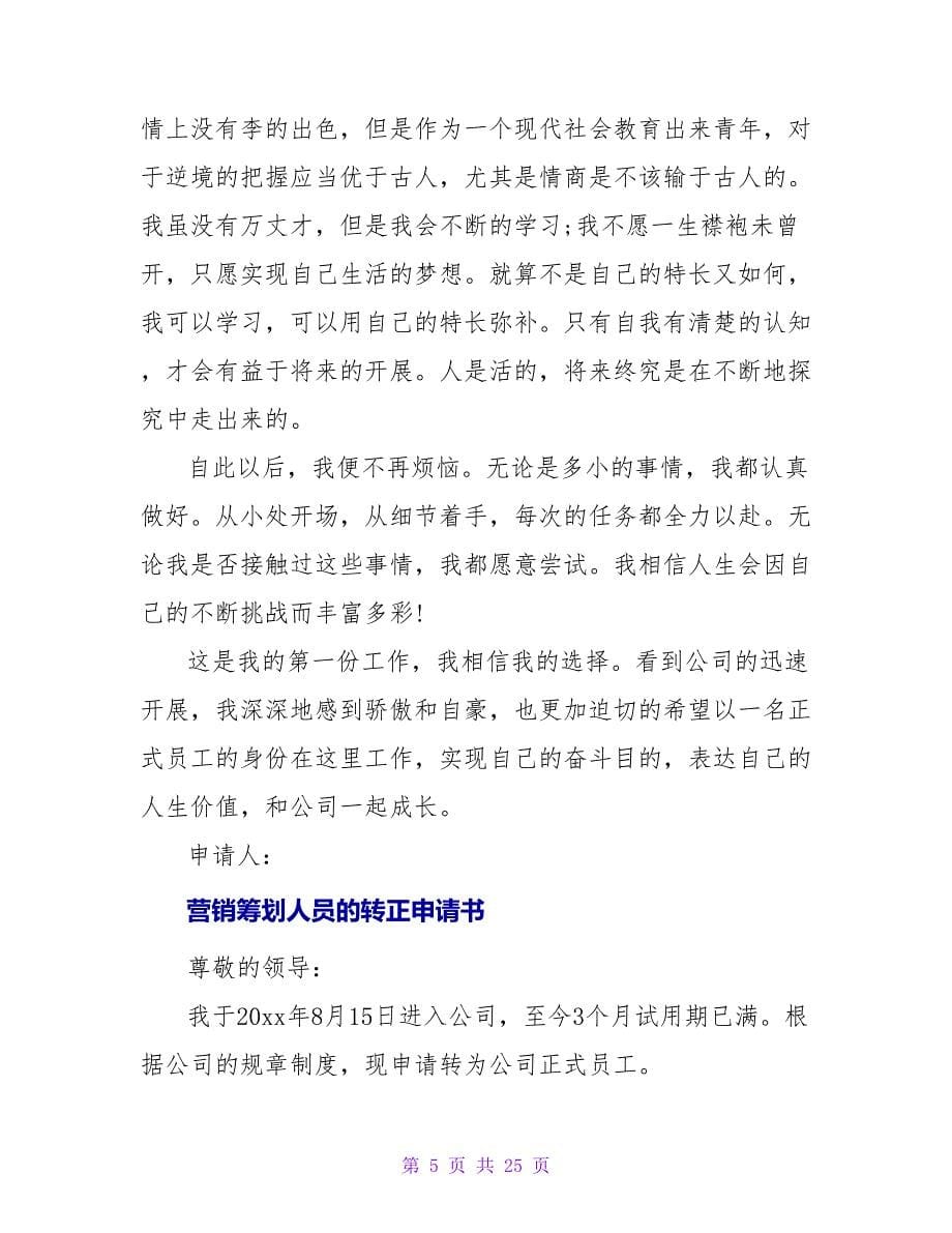 网站策划人员的转正申请书范文.doc_第5页