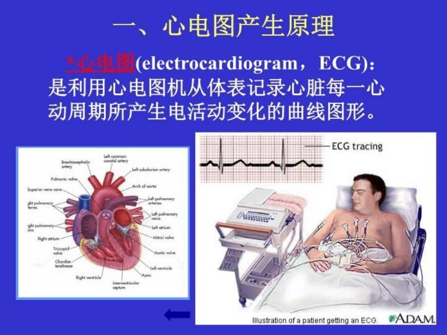 最新心电图学总课件PPT课件_第3页