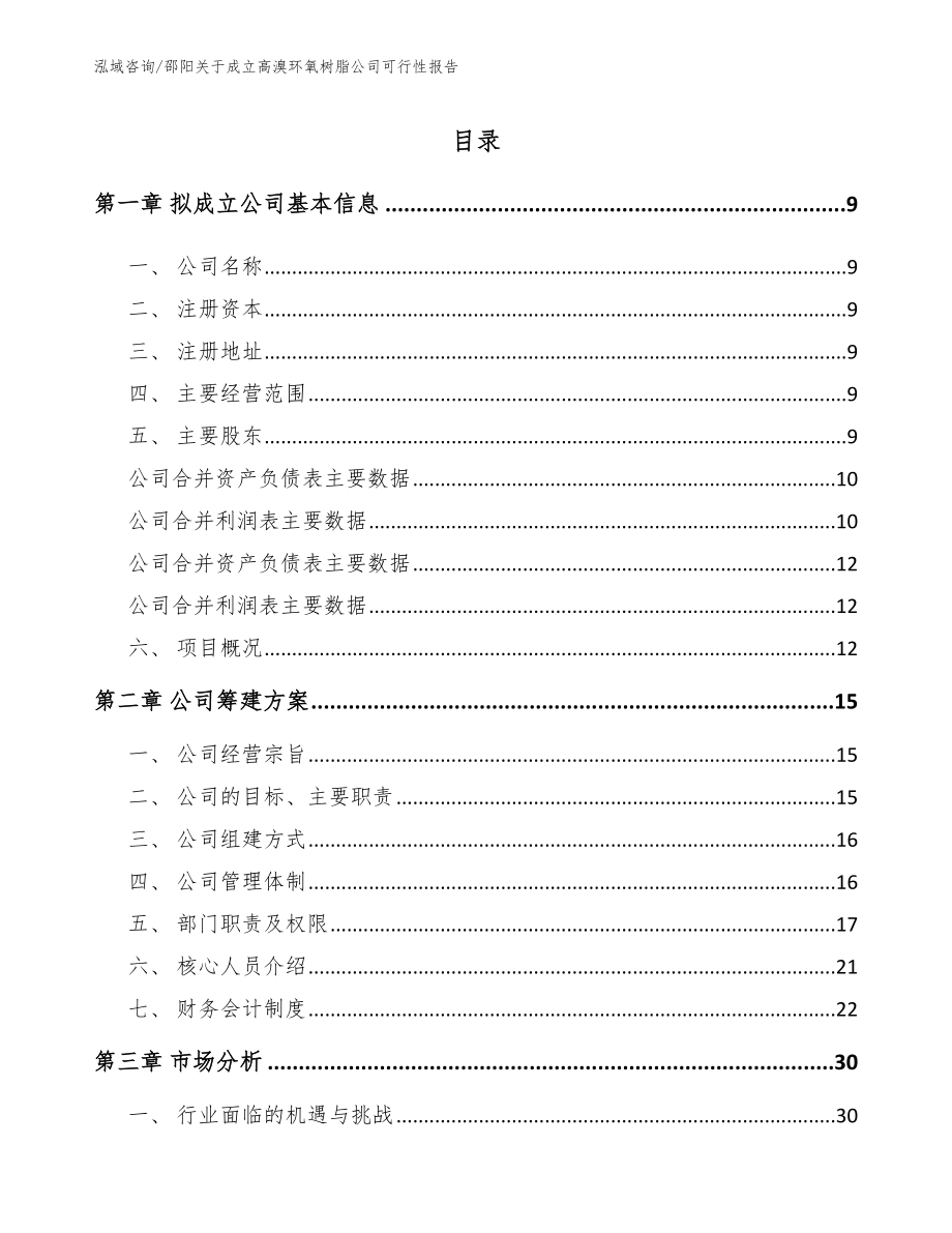 邵阳关于成立高溴环氧树脂公司可行性报告（模板范文）_第2页