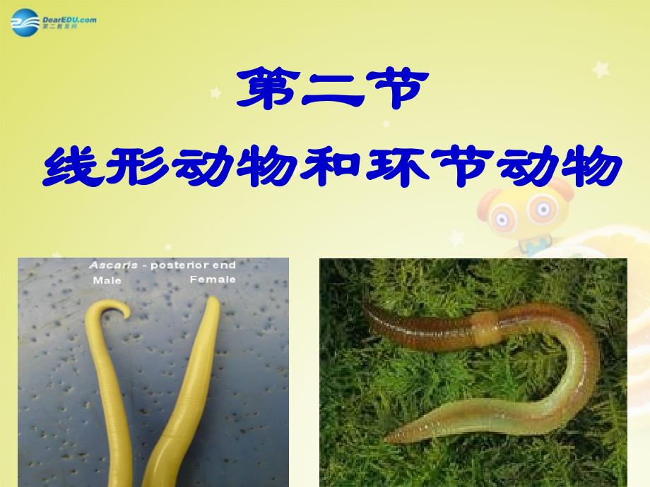 八年级生物上册第五单元第一章第二节线形动物和环节动物课件新人教版_第1页